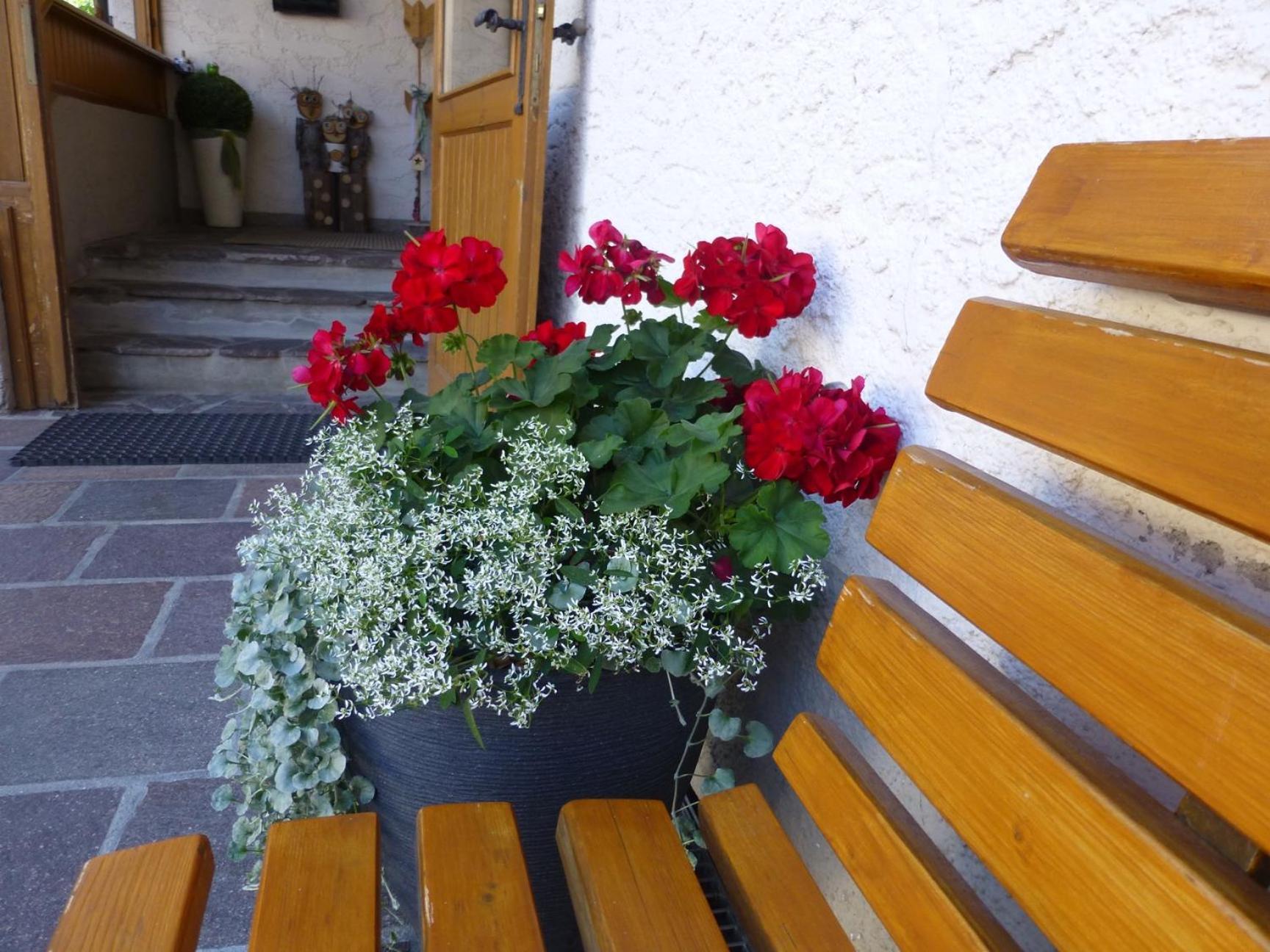 Garni Helfer Bed & Breakfast Dobbiaco Ngoại thất bức ảnh