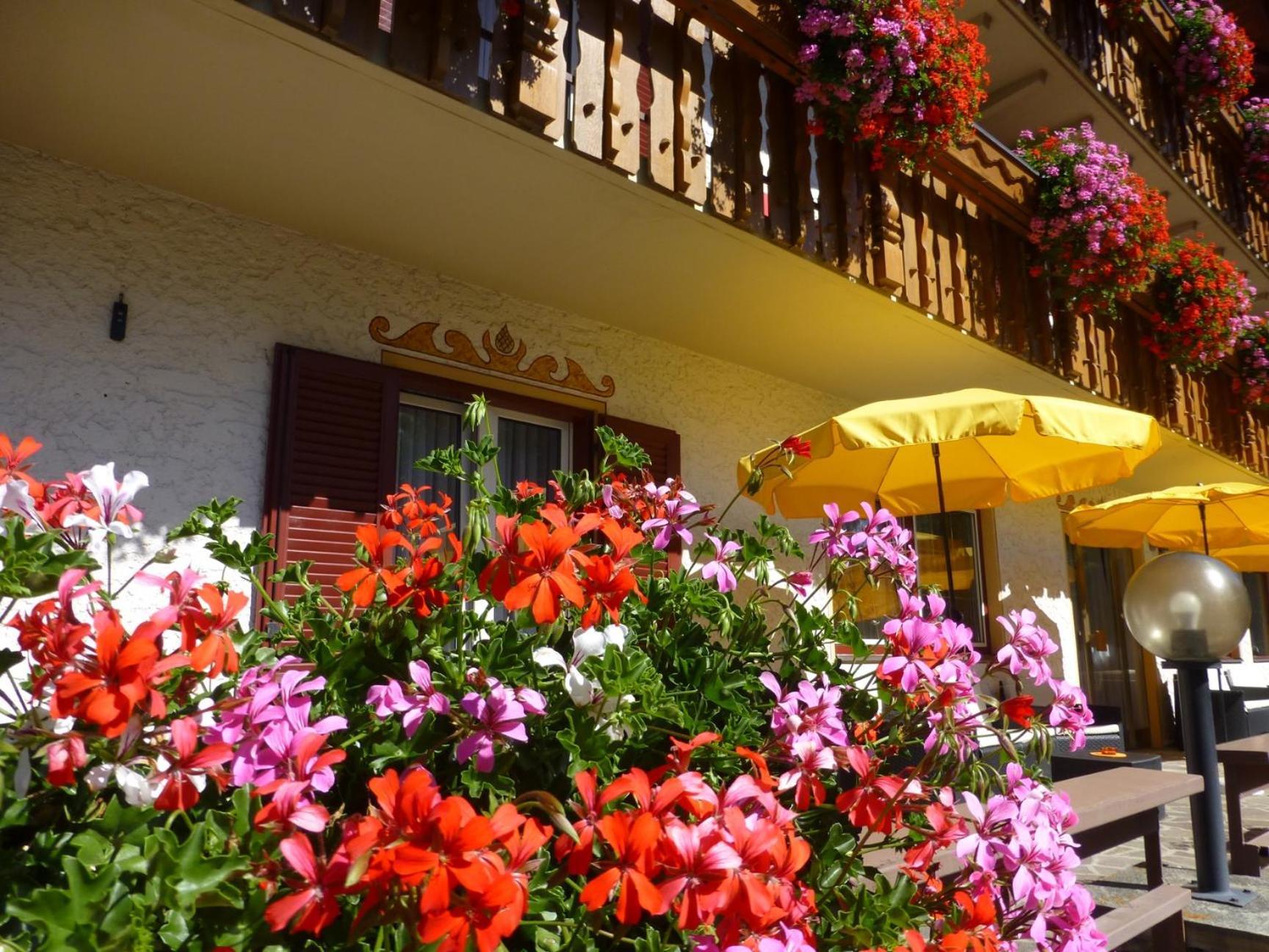 Garni Helfer Bed & Breakfast Dobbiaco Ngoại thất bức ảnh